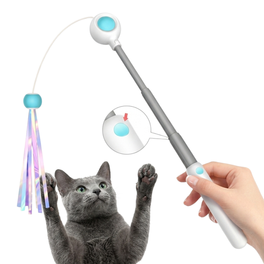 2-in-1 Interactive Cat Teaser Wand with Integrated Laser Pointer & Retractable String