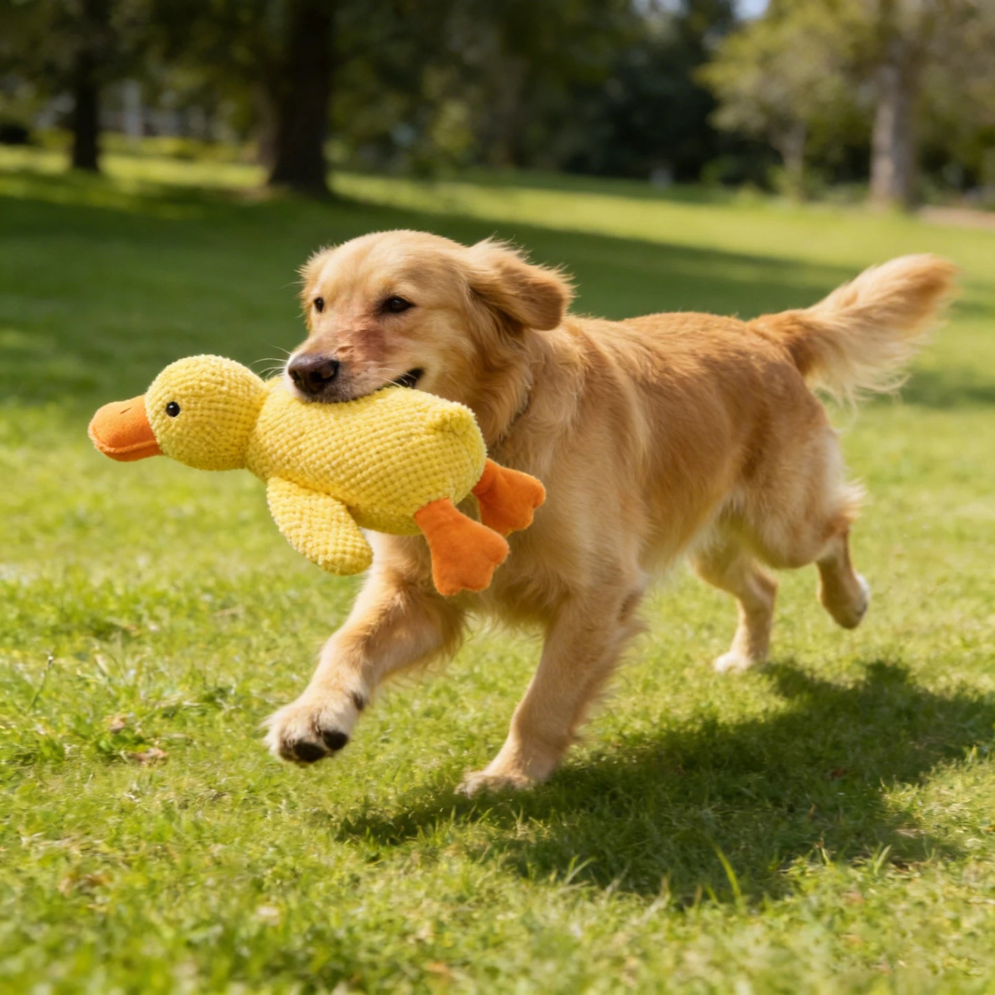 Soft Squeaky Plush Dog Toy – Durable Fleece Teething Toy for Small & Medium Breeds