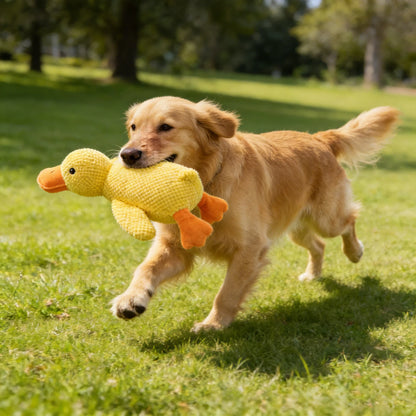 Soft Squeaky Plush Dog Toy – Durable Fleece Teething Toy for Small & Medium Breeds