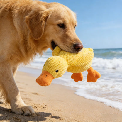 Soft Squeaky Plush Dog Toy – Durable Fleece Teething Toy for Small & Medium Breeds