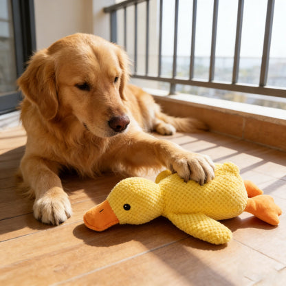 Soft Squeaky Plush Dog Toy – Durable Fleece Teething Toy for Small & Medium Breeds
