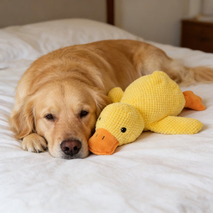 Soft Squeaky Plush Dog Toy – Durable Fleece Teething Toy for Small & Medium Breeds